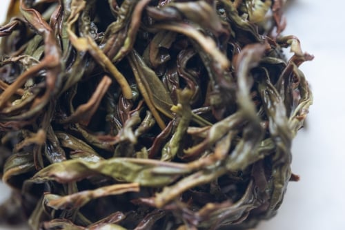 Praise Bee 2024 Spring Milan Xiang Dancong Oolong