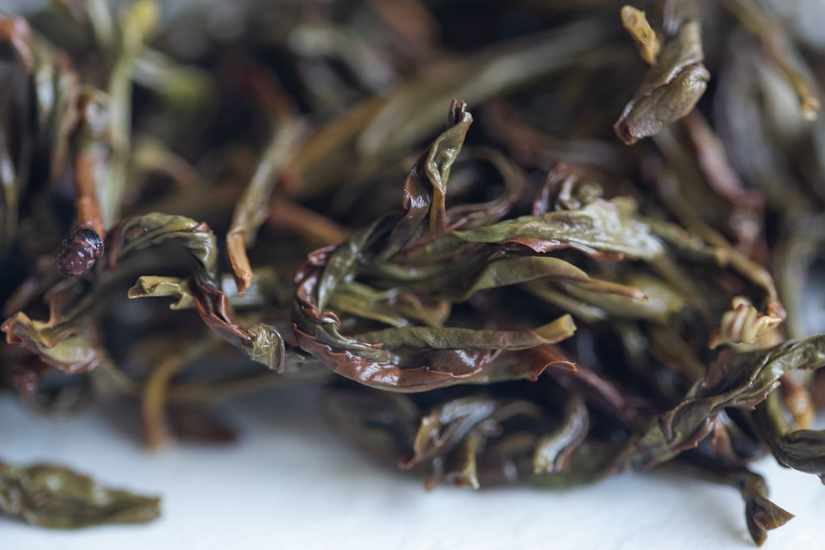 Praise Bee 2024 Spring Milan Xiang Dancong Oolong