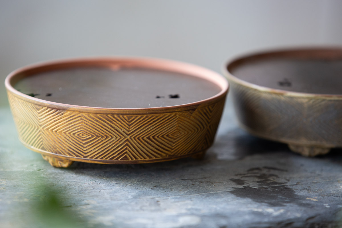 vestige tea tray 6 | BITTERLEAF TEAS vestige tea tray 6 | BITTERLEAF TEAS