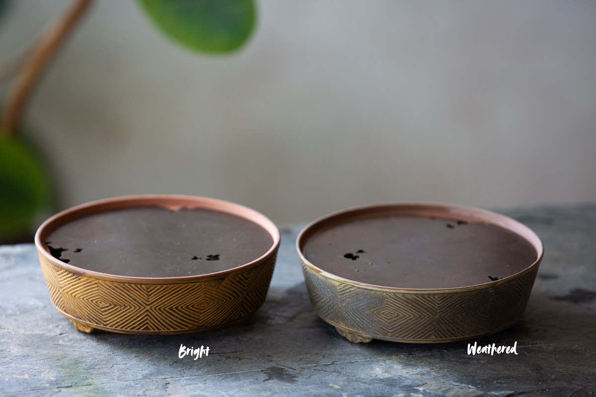 vestige tea tray 7 | BITTERLEAF TEAS vestige tea tray 7 | BITTERLEAF TEAS