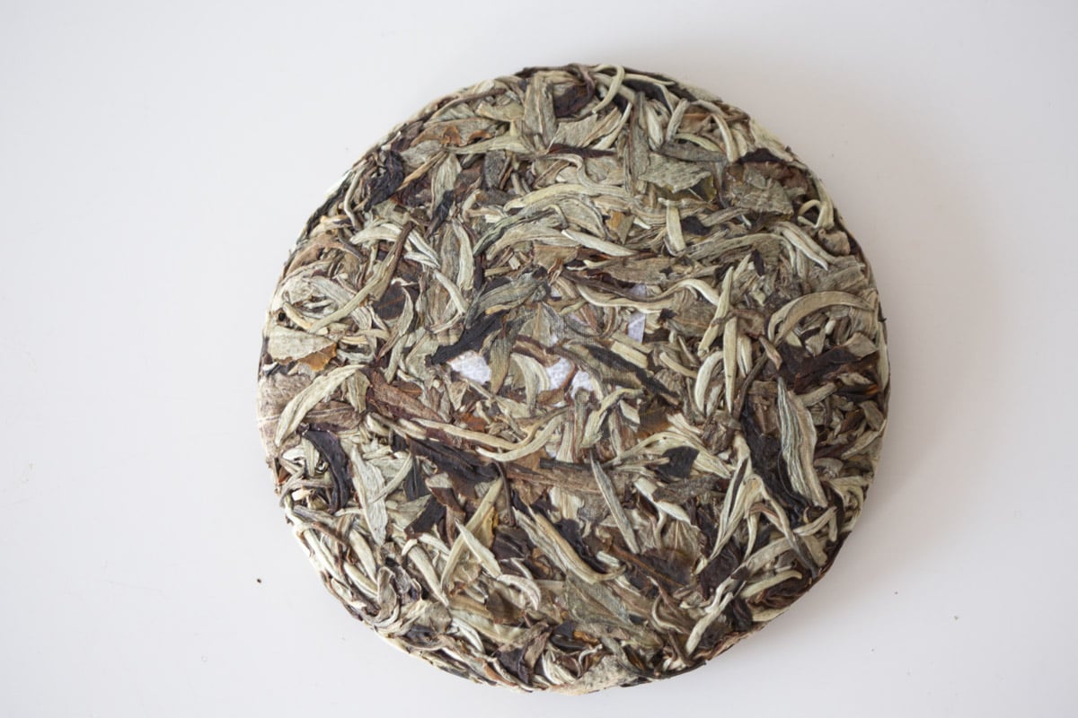imprsess forcibly through unexpectedness 2024 spring wuliang shan white tea 6 | BITTERLEAF TEAS imprsess forcibly through unexpectedness 2024 spring wuliang shan white tea 6 | BITTERLEAF TEAS