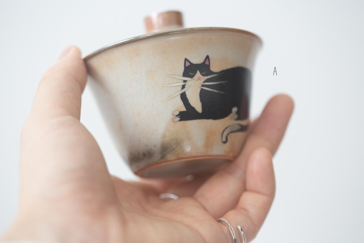 tux gaiwan 2 26 3 | BITTERLEAF TEAS