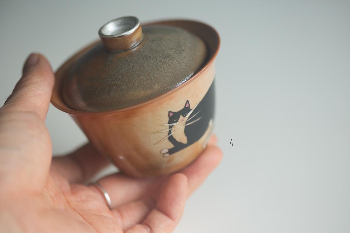 tux gaiwan 9 26 3 | BITTERLEAF TEAS