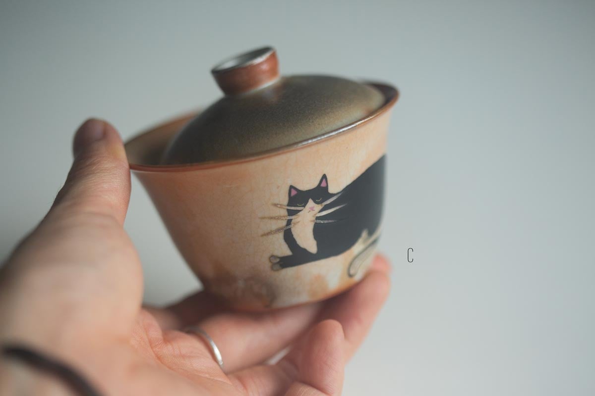 tux gaiwan 9 26 5 | BITTERLEAF TEAS