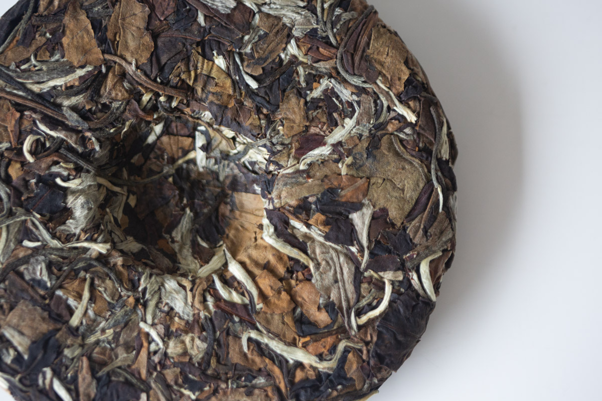 white crow 2024 lincang shoumei white tea 5 | BITTERLEAF TEAS white crow 2024 lincang shoumei white tea 5 | BITTERLEAF TEAS