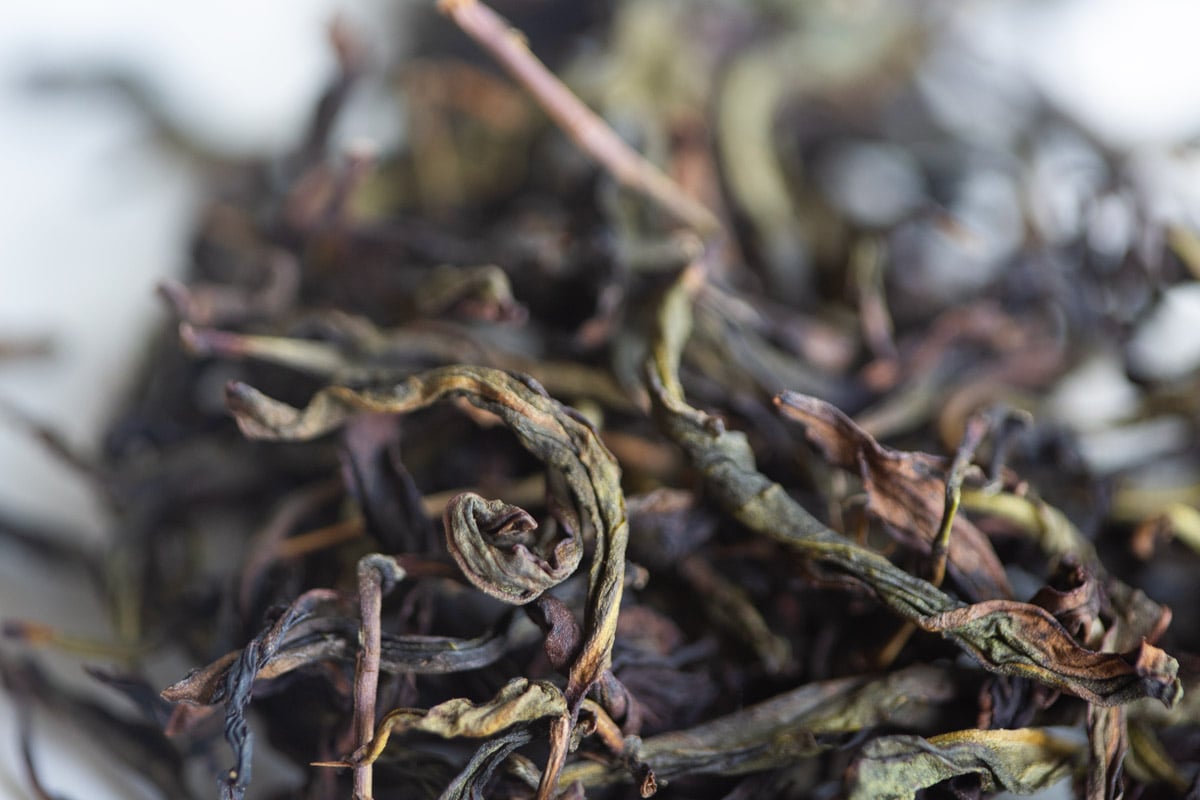 no mountain higher 2024 spring simao gaoshan oolong tea 2 | BITTERLEAF TEAS no mountain higher 2024 spring simao gaoshan oolong tea 2 | BITTERLEAF TEAS