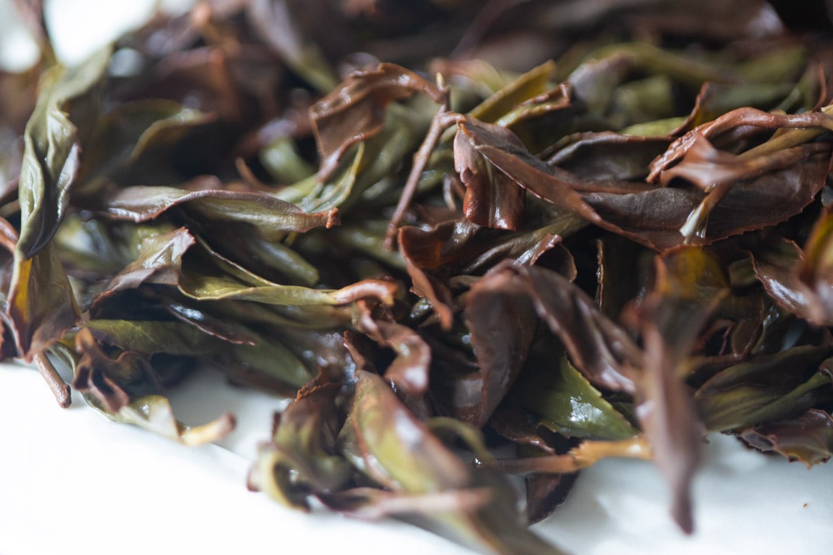 no mountain higher 2024 spring simao gaoshan oolong tea 4 | BITTERLEAF TEAS no mountain higher 2024 spring simao gaoshan oolong tea 4 | BITTERLEAF TEAS