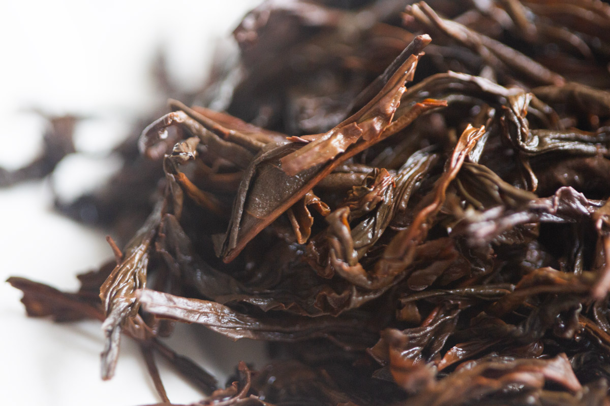 ポン茶ページ Pioneer Old Bush 2024 Spring Tongmuguan Zhengshan Xiaozhong Smoked