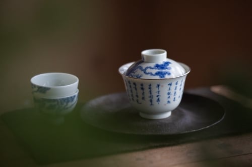 Alchemy Gaiwan - Silver - Pine & Poem