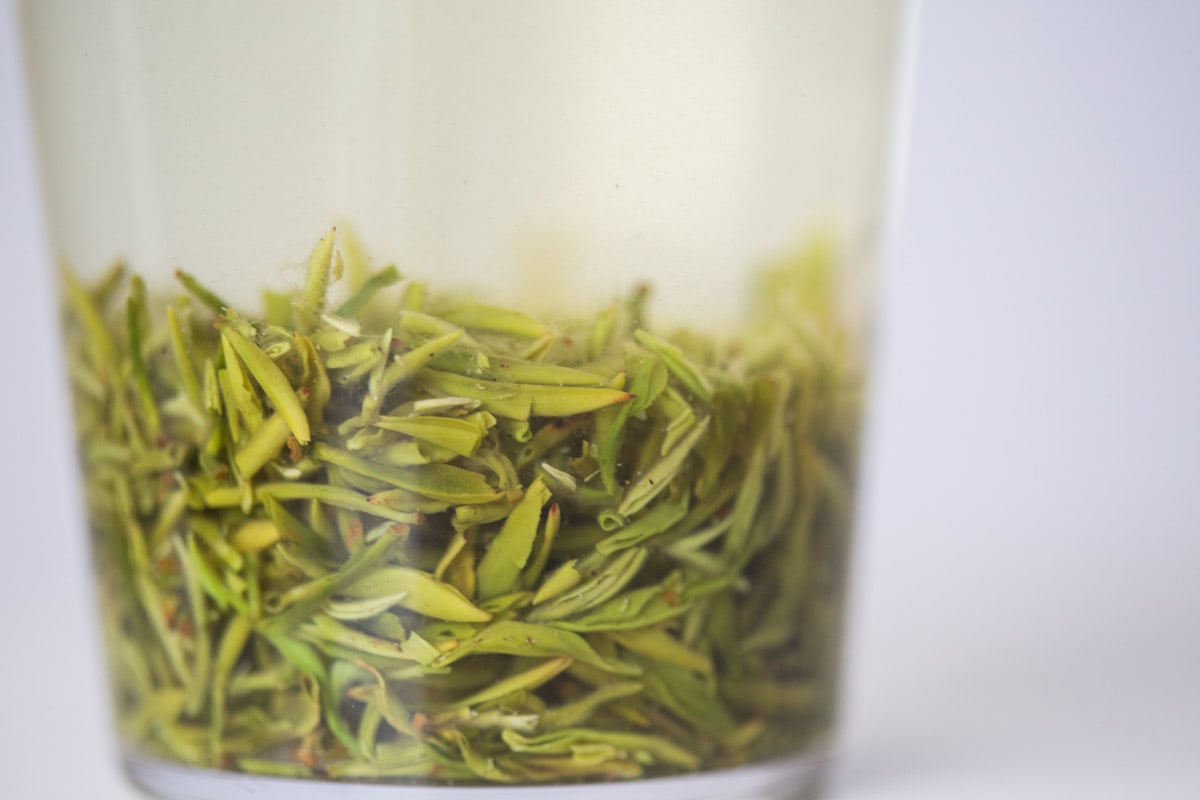 evergreen 2025 spring biluochun green tea 18 | BITTERLEAF TEAS