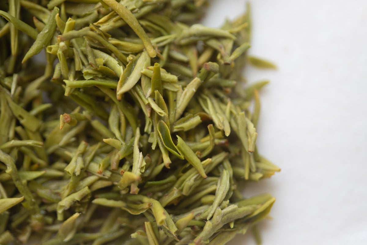 evergreen 2025 spring biluochun green tea 20 | BITTERLEAF TEAS