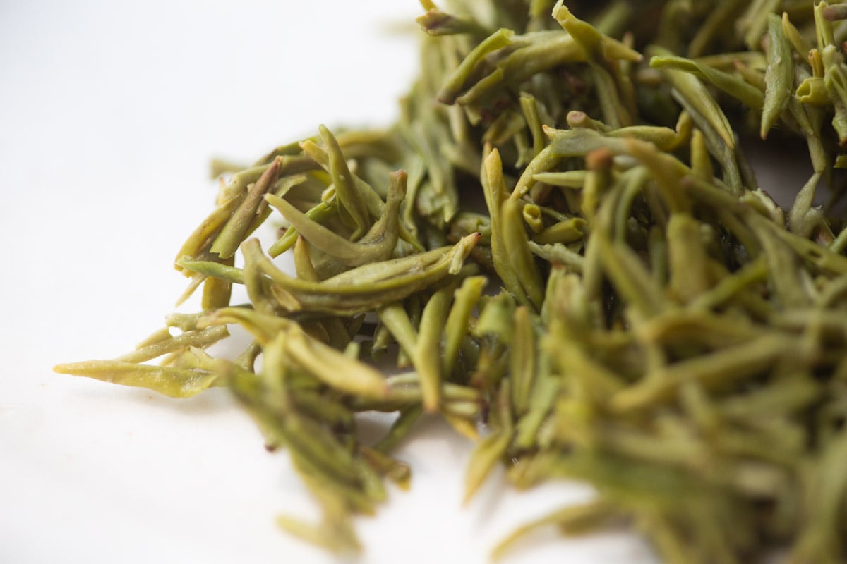 evergreen 2025 spring biluochun green tea 21 | BITTERLEAF TEAS