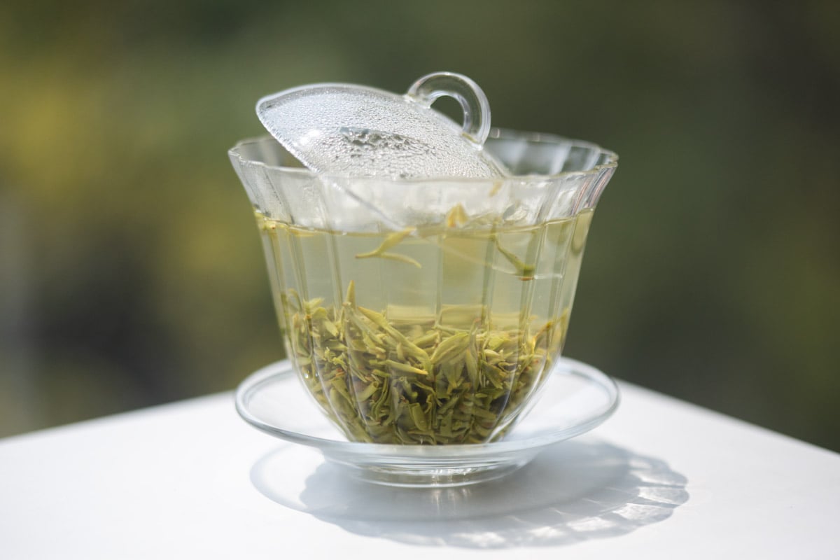 evergreen 2025 spring biluochun green tea 22 | BITTERLEAF TEAS