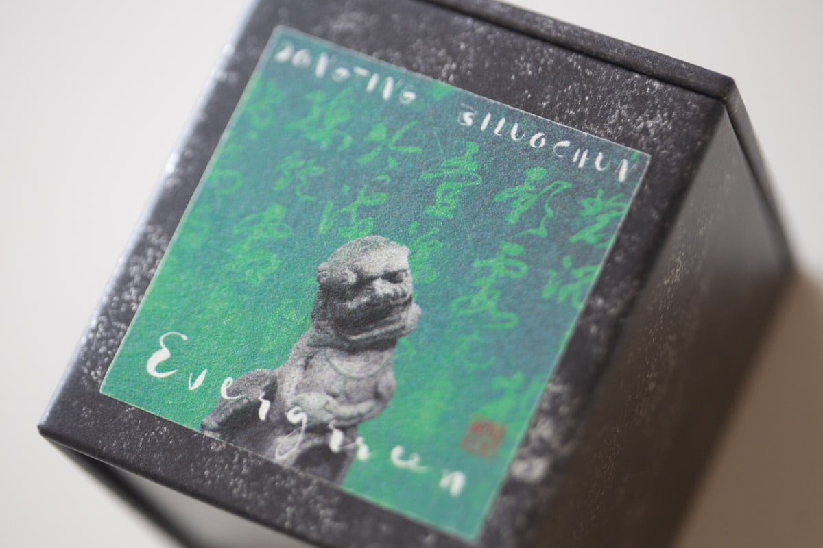 evergreen 2025 spring biluochun green tea 25 | BITTERLEAF TEAS