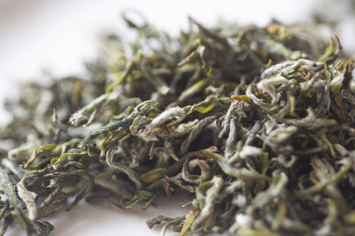 the finest 2025 spring mengding ganlu green tea 1 | BITTERLEAF TEAS the finest 2025 spring mengding ganlu green tea 1 | BITTERLEAF TEAS