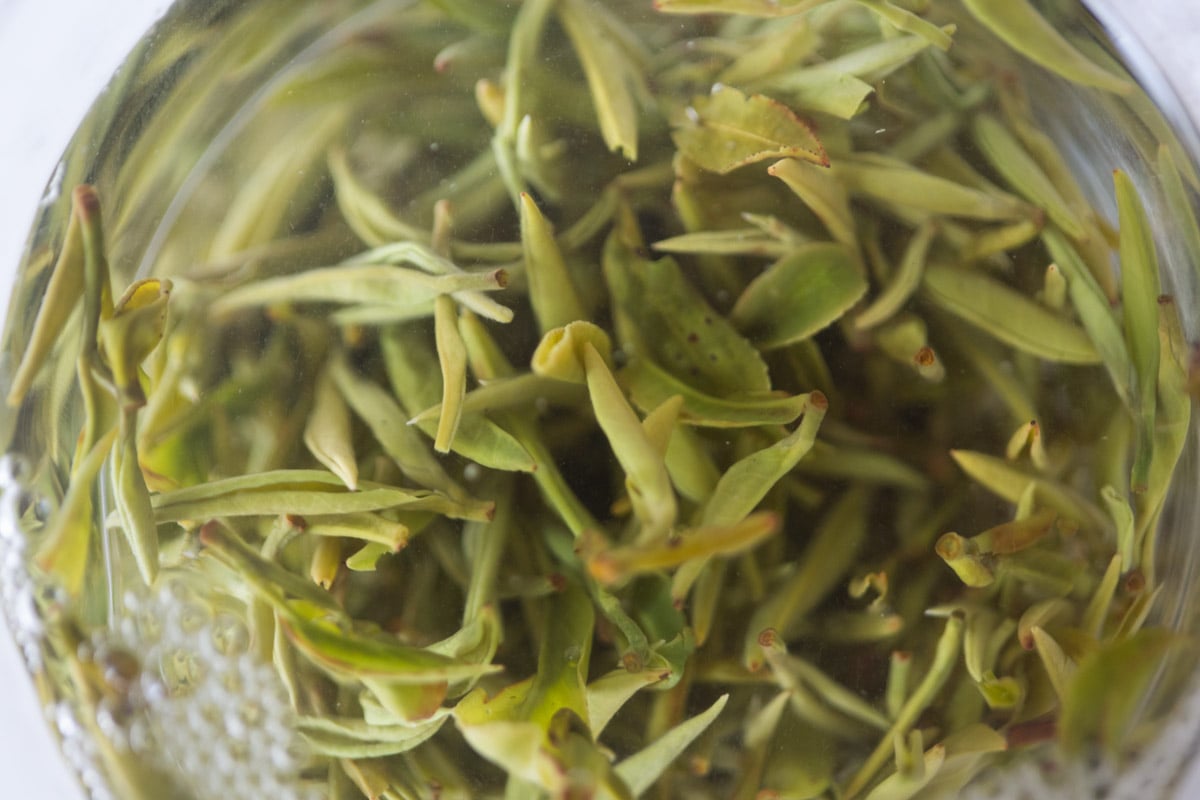 the finest 2025 spring mengding ganlu green tea 3 | BITTERLEAF TEAS the finest 2025 spring mengding ganlu green tea 3 | BITTERLEAF TEAS