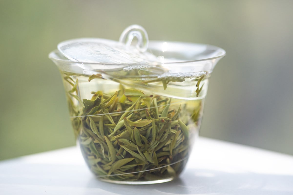 the finest 2025 spring mengding ganlu green tea 4 | BITTERLEAF TEAS the finest 2025 spring mengding ganlu green tea 4 | BITTERLEAF TEAS