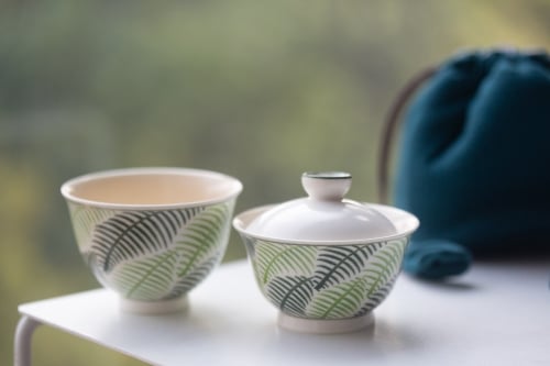 Only Ferns Gaiwan
