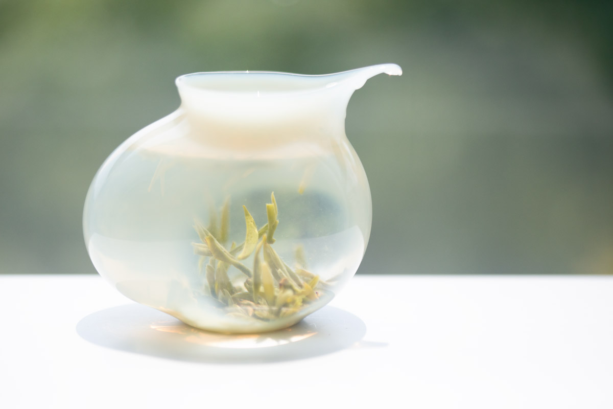 picasso gongdaobei 1 | BITTERLEAF TEAS