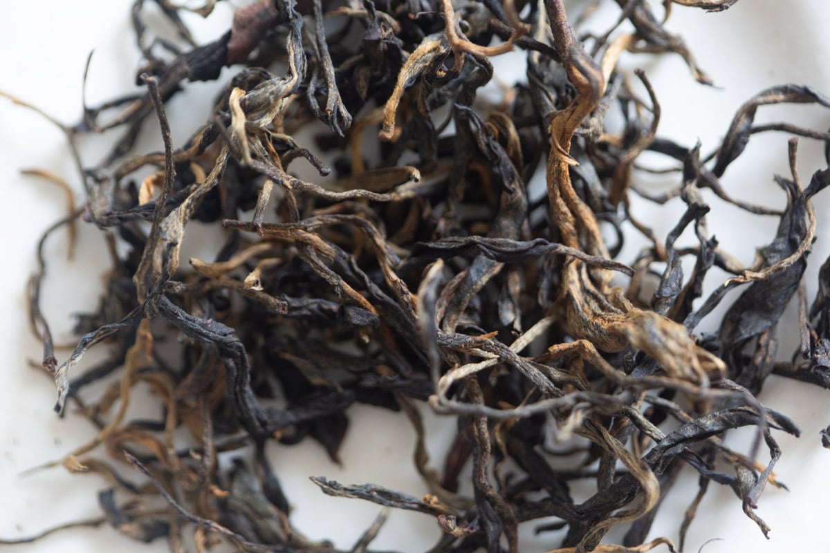 plum beauty black 2025 mengsong organic black tea 3 | BITTERLEAF TEAS plum beauty black 2025 mengsong organic black tea 3 | BITTERLEAF TEAS