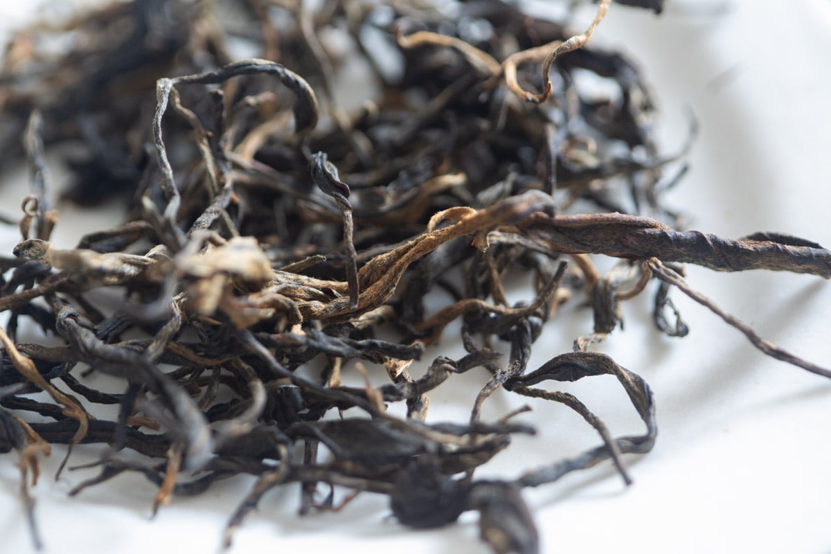 plum beauty black 2025 mengsong organic black tea 4 | BITTERLEAF TEAS plum beauty black 2025 mengsong organic black tea 4 | BITTERLEAF TEAS