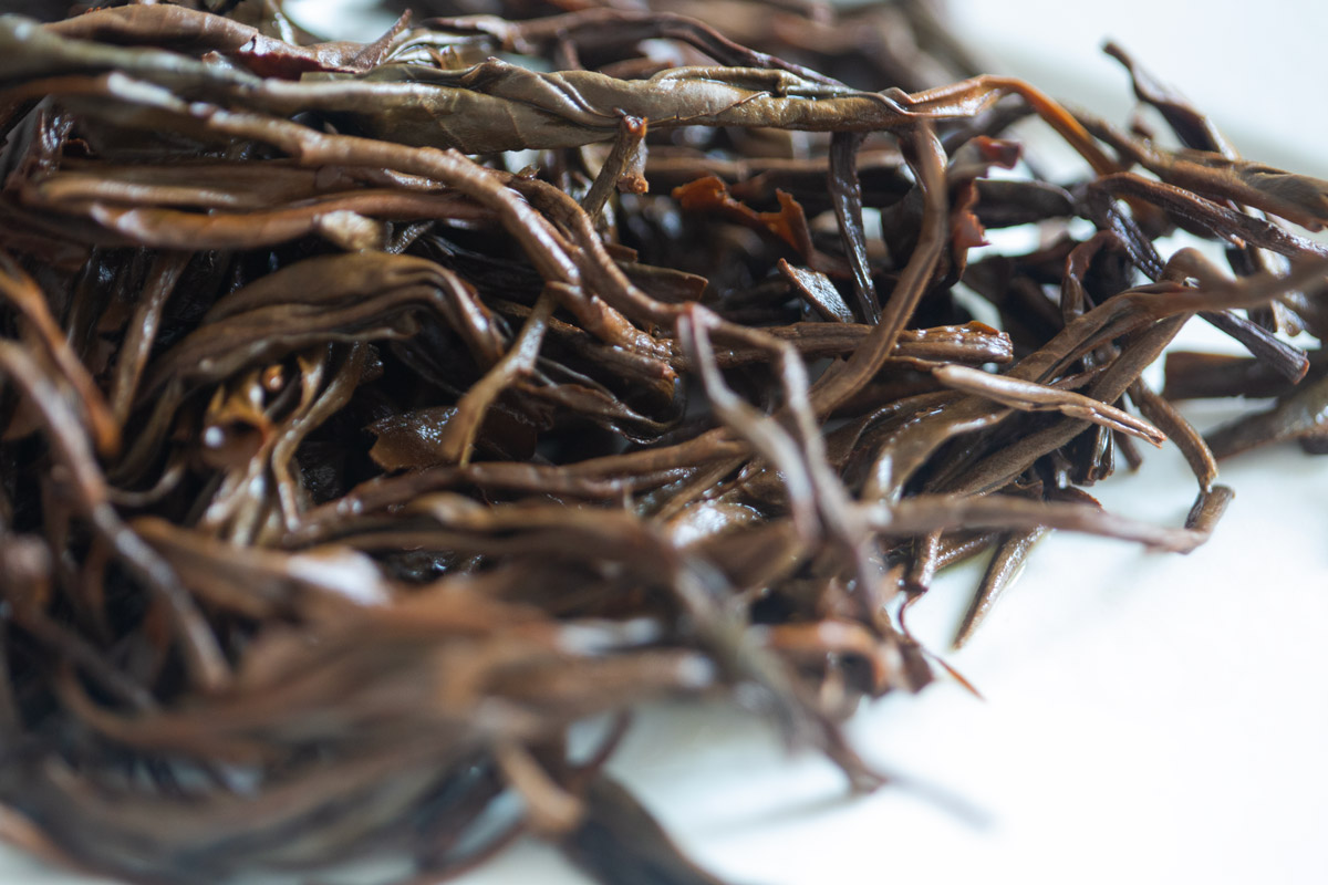 plum beauty black 2025 mengsong organic black tea 7 | BITTERLEAF TEAS plum beauty black 2025 mengsong organic black tea 7 | BITTERLEAF TEAS