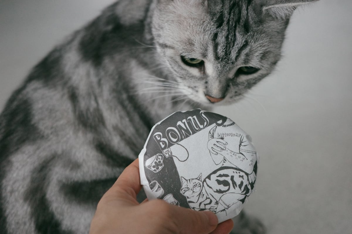 bonus 2025 spring yiwu raw puer 2 | BITTERLEAF TEAS