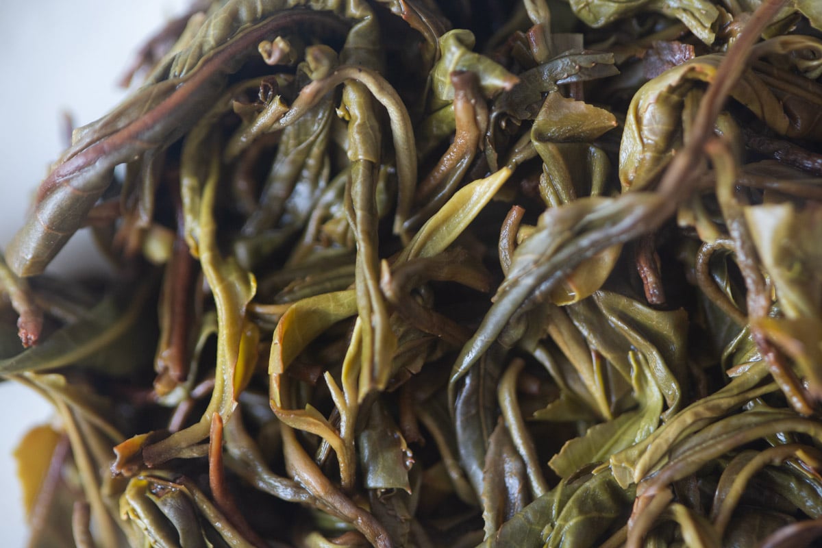 fresh 2025 spring simao organic raw puer tea 2 10 | BITTERLEAF TEAS