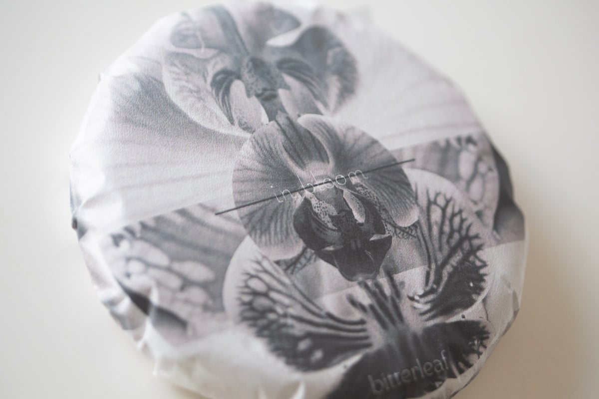 in bloom 2025 spring jing mai raw puer tea 3 | BITTERLEAF TEAS in bloom 2025 spring jing mai raw puer tea 3 | BITTERLEAF TEAS