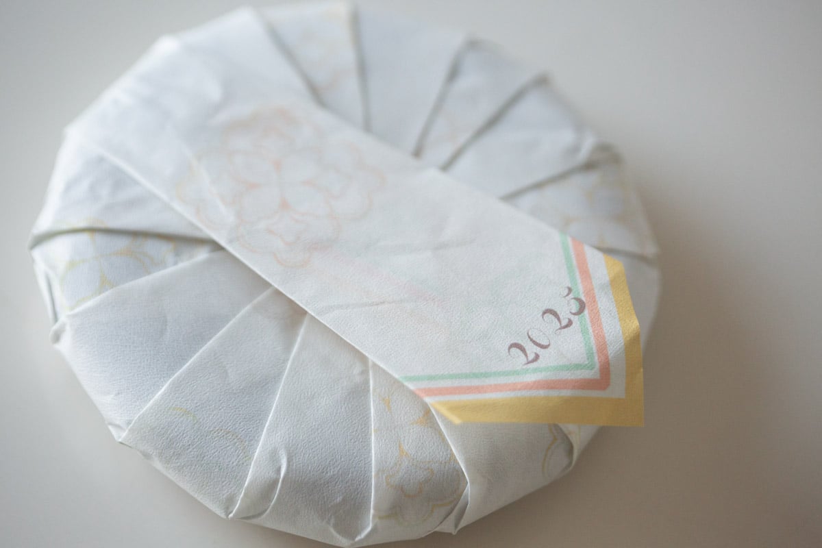 long live 2025 spring yiwu raw puer tea 3 | BITTERLEAF TEAS