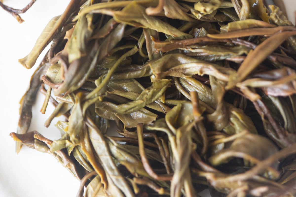 long live 2025 spring yiwu raw puer tea 8 | BITTERLEAF TEAS