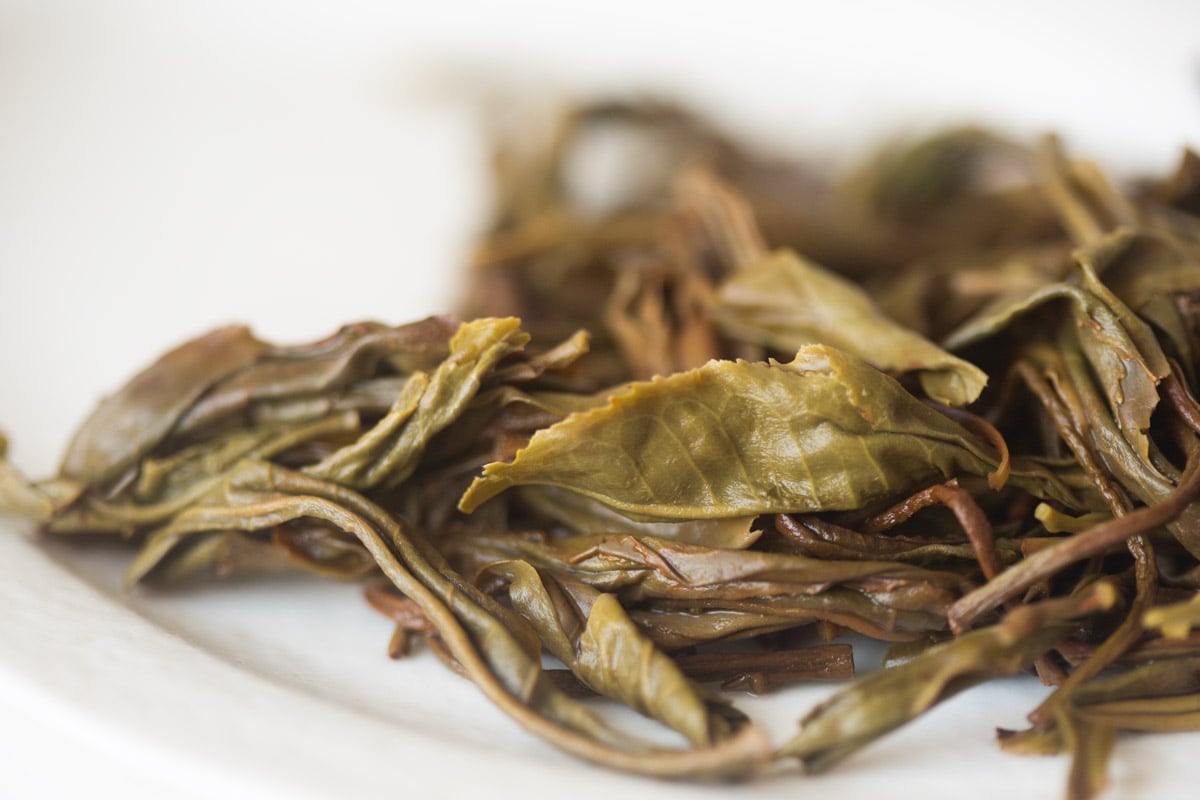 long live 2025 spring yiwu raw puer tea 9 | BITTERLEAF TEAS