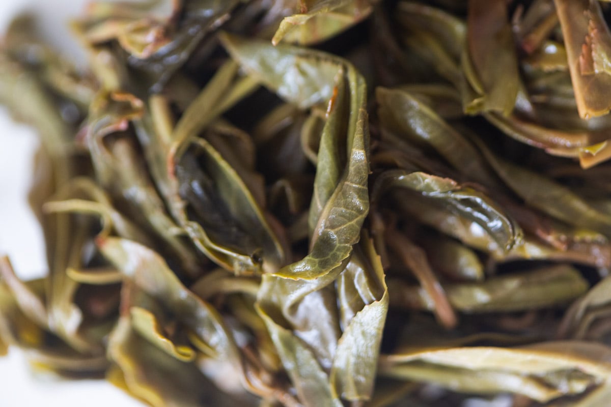 mirage 2025 spring gaoshan raw puer tea 8 | BITTERLEAF TEAS
