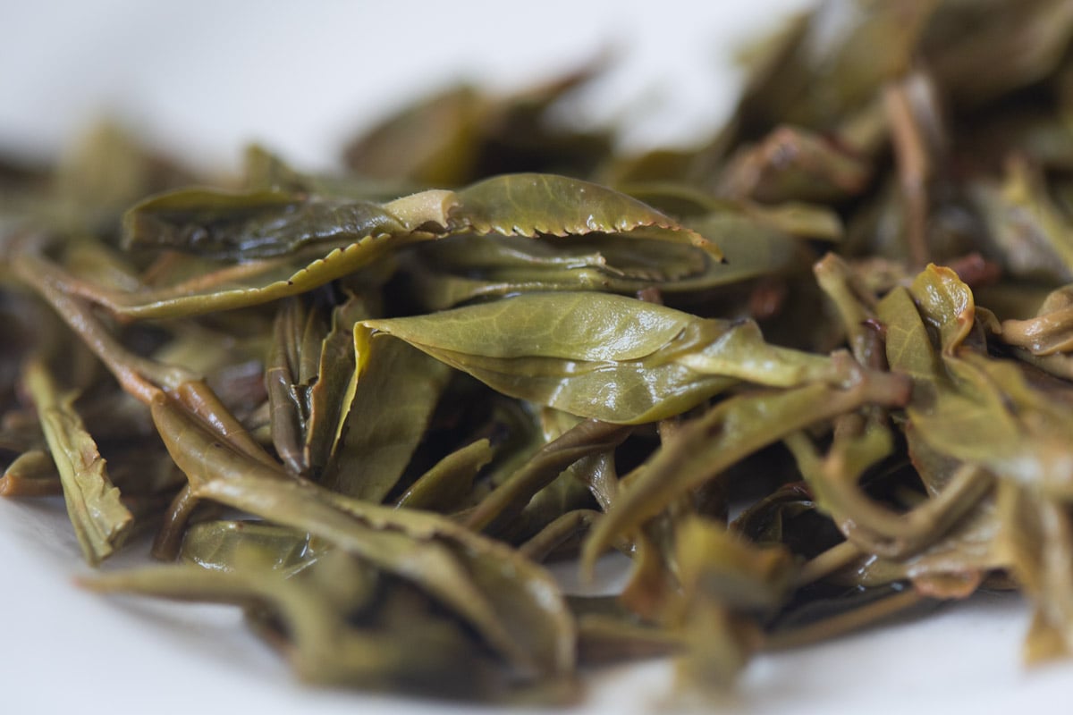 mirage 2025 spring gaoshan raw puer tea 9 | BITTERLEAF TEAS