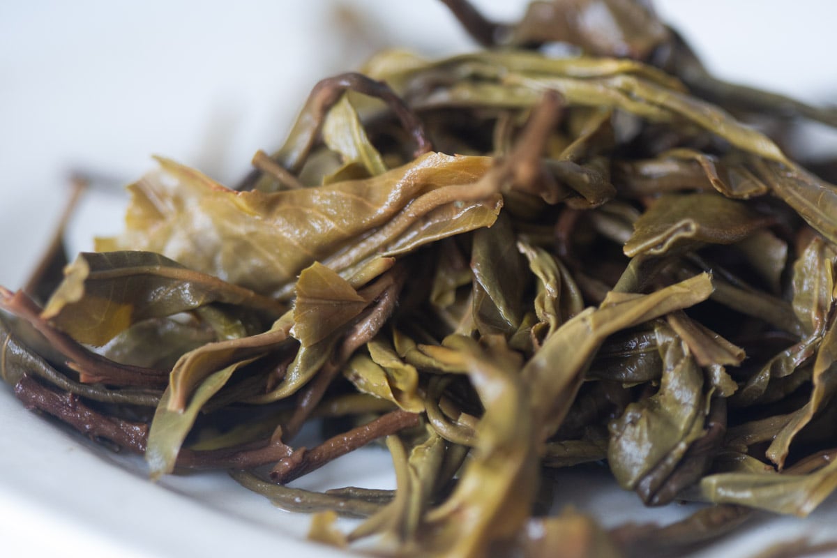 natural habitat 2025 spring huazhuliangzi raw puer tea 10 | BITTERLEAF TEAS natural habitat 2025 spring huazhuliangzi raw puer tea 10 | BITTERLEAF TEAS