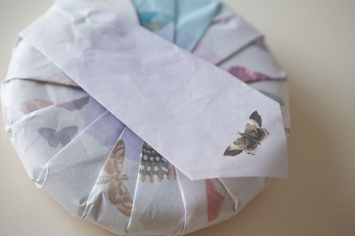 natural habitat 2025 spring huazhuliangzi raw puer tea 3 | BITTERLEAF TEAS natural habitat 2025 spring huazhuliangzi raw puer tea 3 | BITTERLEAF TEAS