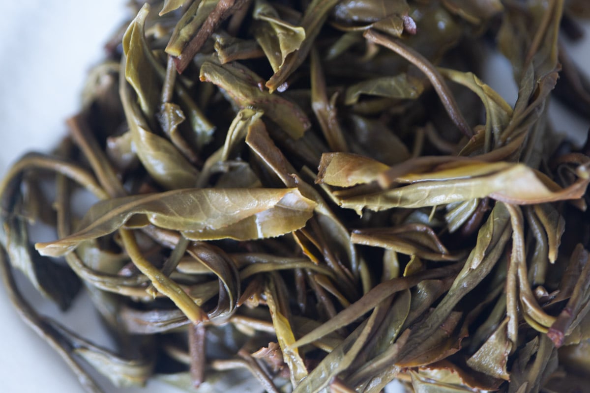 natural habitat 2025 spring huazhuliangzi raw puer tea 9 | BITTERLEAF TEAS natural habitat 2025 spring huazhuliangzi raw puer tea 9 | BITTERLEAF TEAS