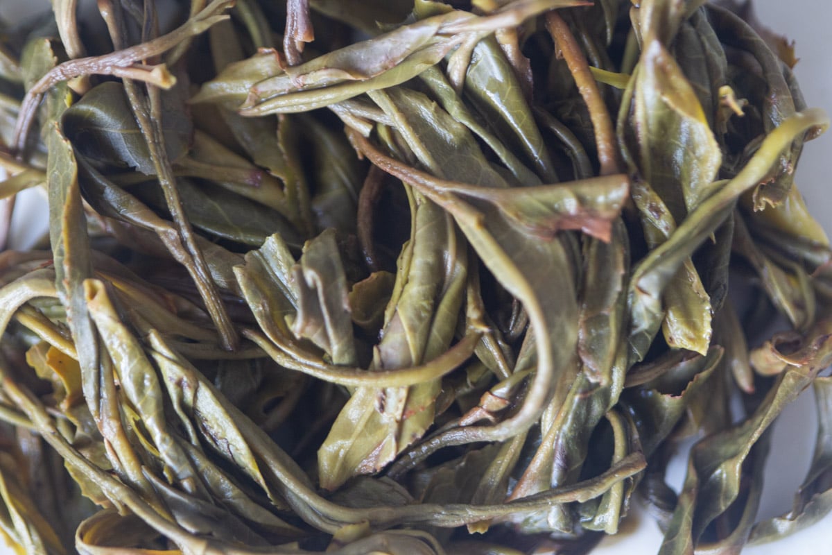 og naka 2025 spring raw puer tea 8 | BITTERLEAF TEAS