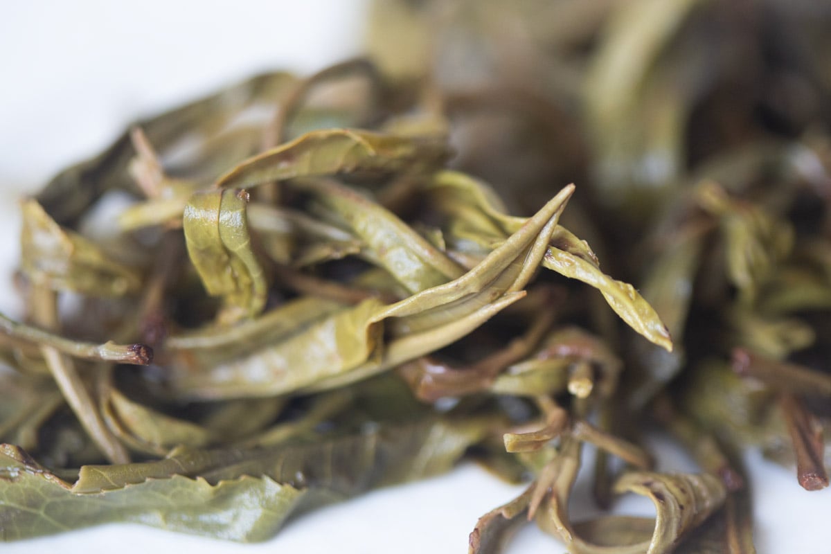 og naka 2025 spring raw puer tea 9 | BITTERLEAF TEAS