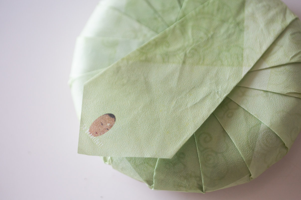 plum beauty 2025 spring mengsong organic raw puer tea 3 | BITTERLEAF TEAS