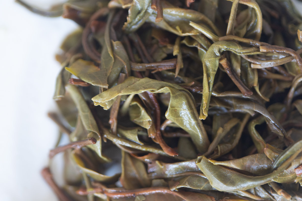 plum beauty 2025 spring mengsong organic raw puer tea 9 | BITTERLEAF TEAS