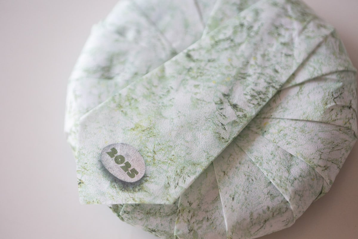 rock solid 2025 spring bangdong raw puer tea 4 | BITTERLEAF TEAS