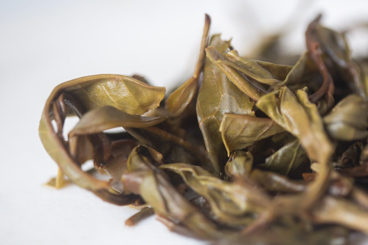 rock solid 2025 spring bangdong raw puer tea 9 | BITTERLEAF TEAS