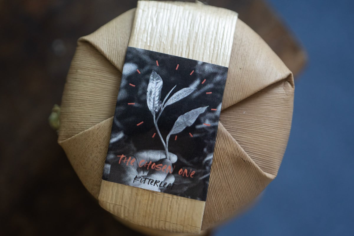 the chosen one 2025 spring banpen raw puer tea 10 | BITTERLEAF TEAS