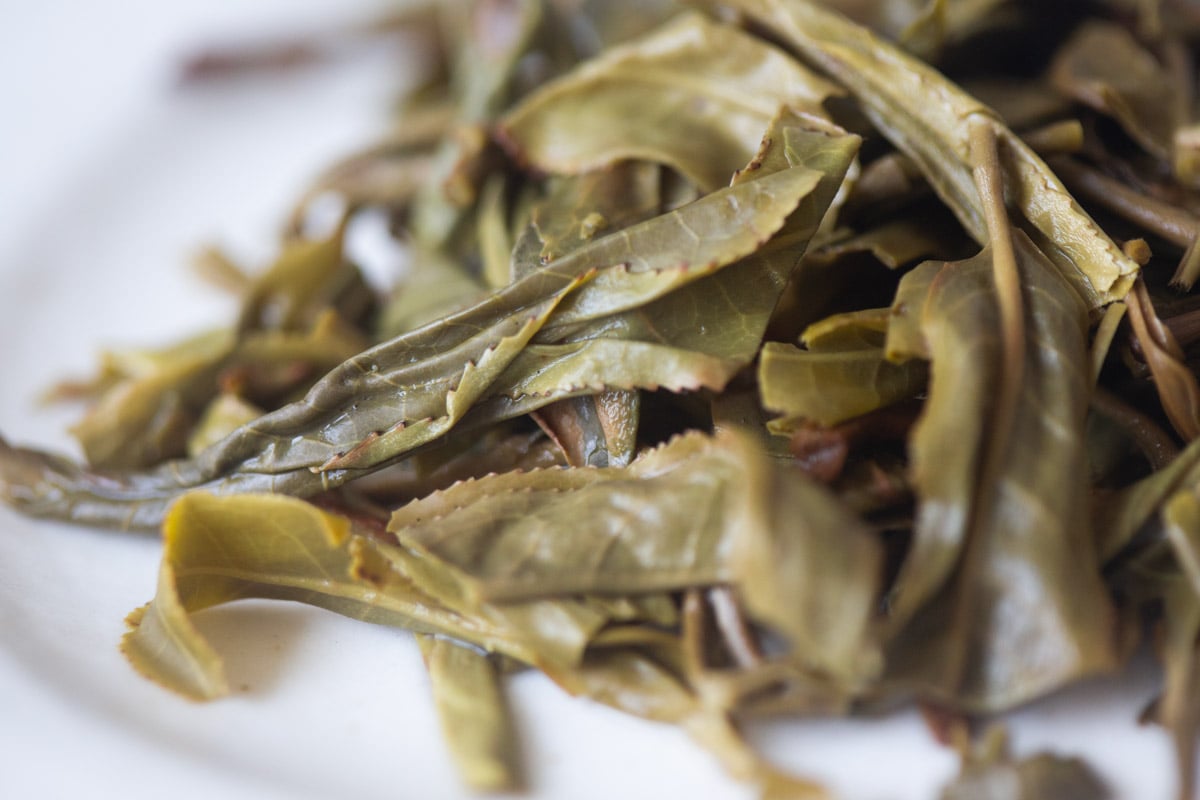 the chosen one 2025 spring banpen raw puer tea 9 | BITTERLEAF TEAS