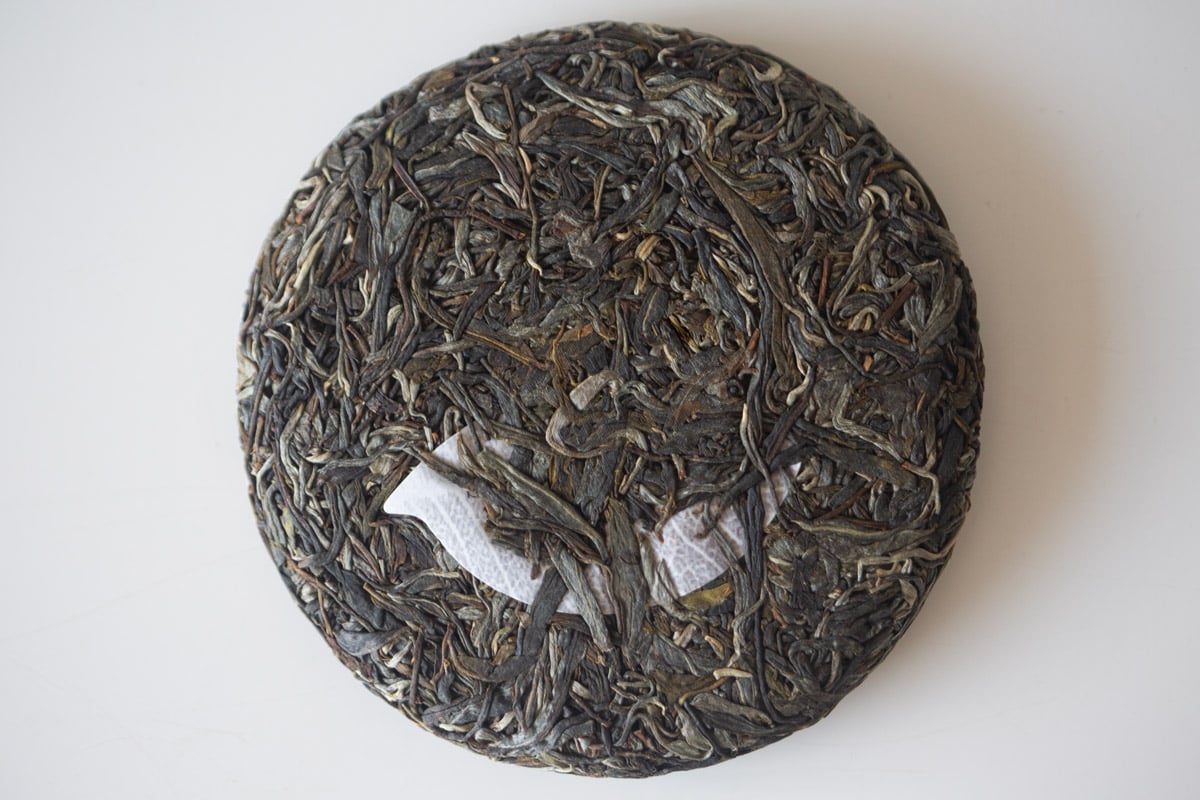 underdog 2025 spring bulang raw puer tea 6 | BITTERLEAF TEAS