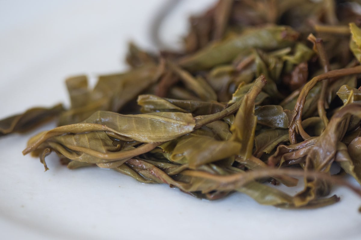 underdog 2025 spring bulang raw puer tea 9 | BITTERLEAF TEAS