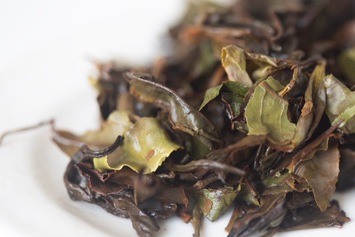 white snake 2025 spring yiwu white tea tea 10 | BITTERLEAF TEAS white snake 2025 spring yiwu white tea tea 10 | BITTERLEAF TEAS