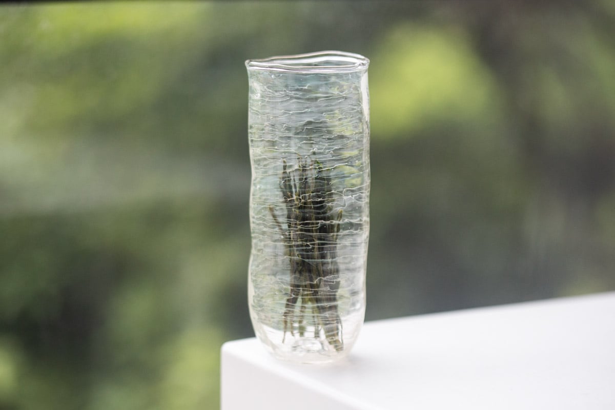 be water deep green tea glass 10 | BITTERLEAF TEAS