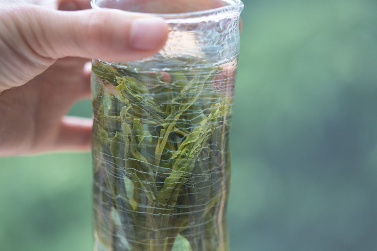 be water deep green tea glass 13 | BITTERLEAF TEAS